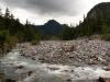 mt. rainier stream